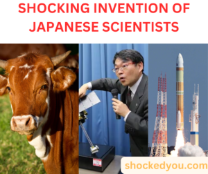 cow , japanese scientist and space rocket
