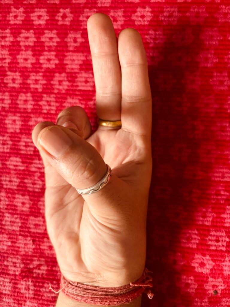 pran mudra yoga mudras
