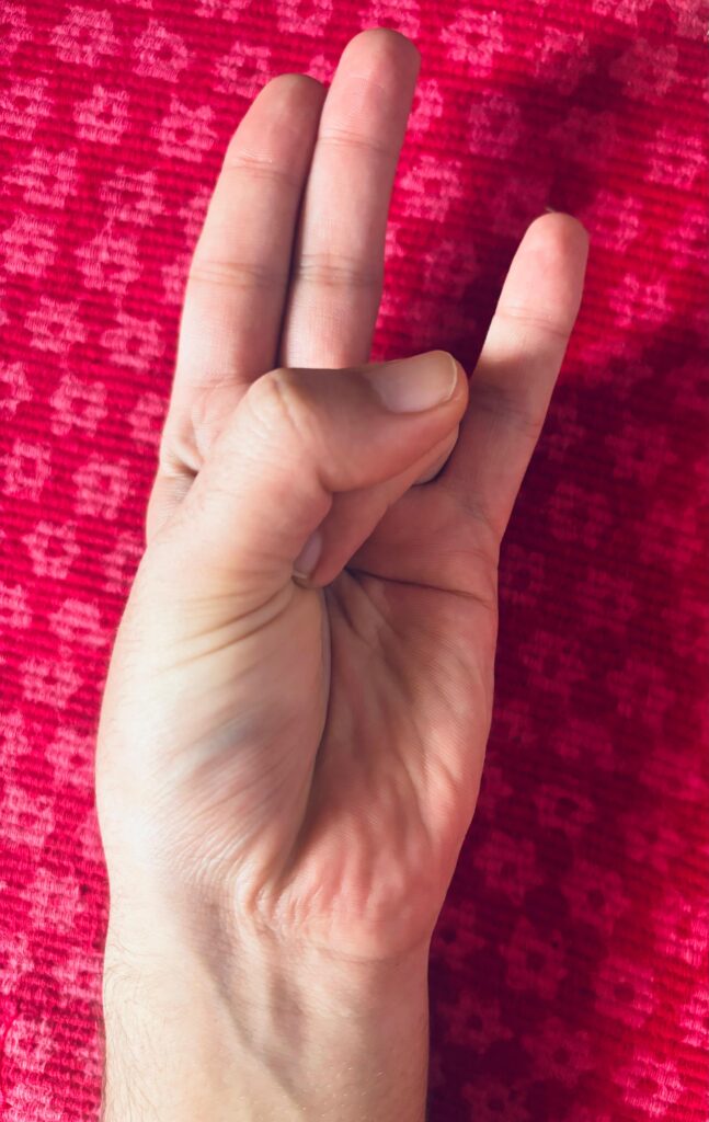 surya mudra yoga mudras